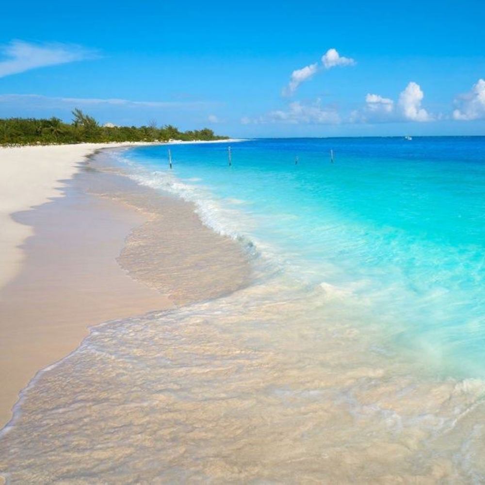 Meet your Posher, Jack